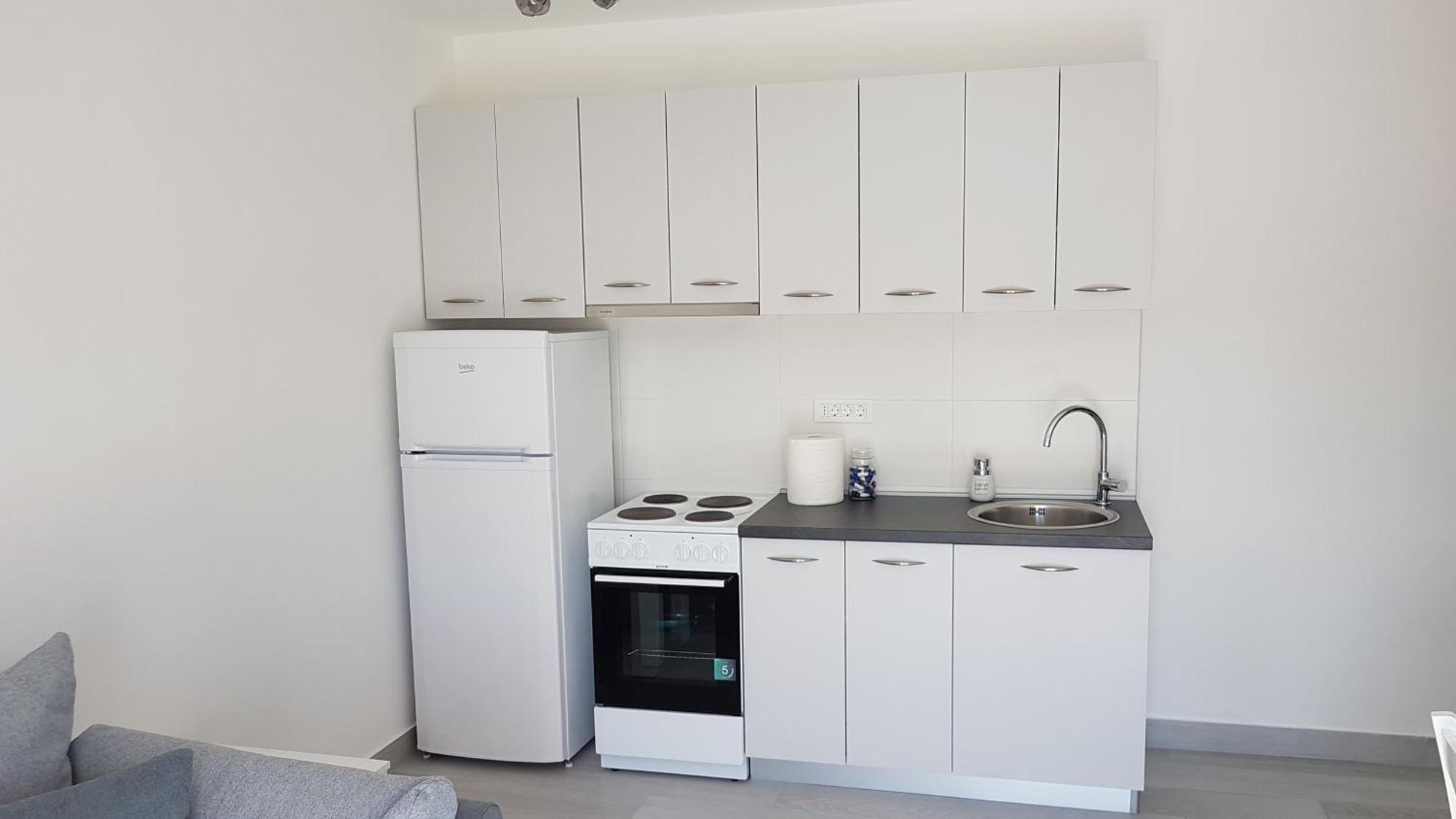 Apartament Ivanica *